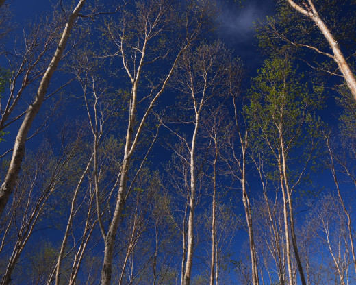 47211 (a): :1280x1024